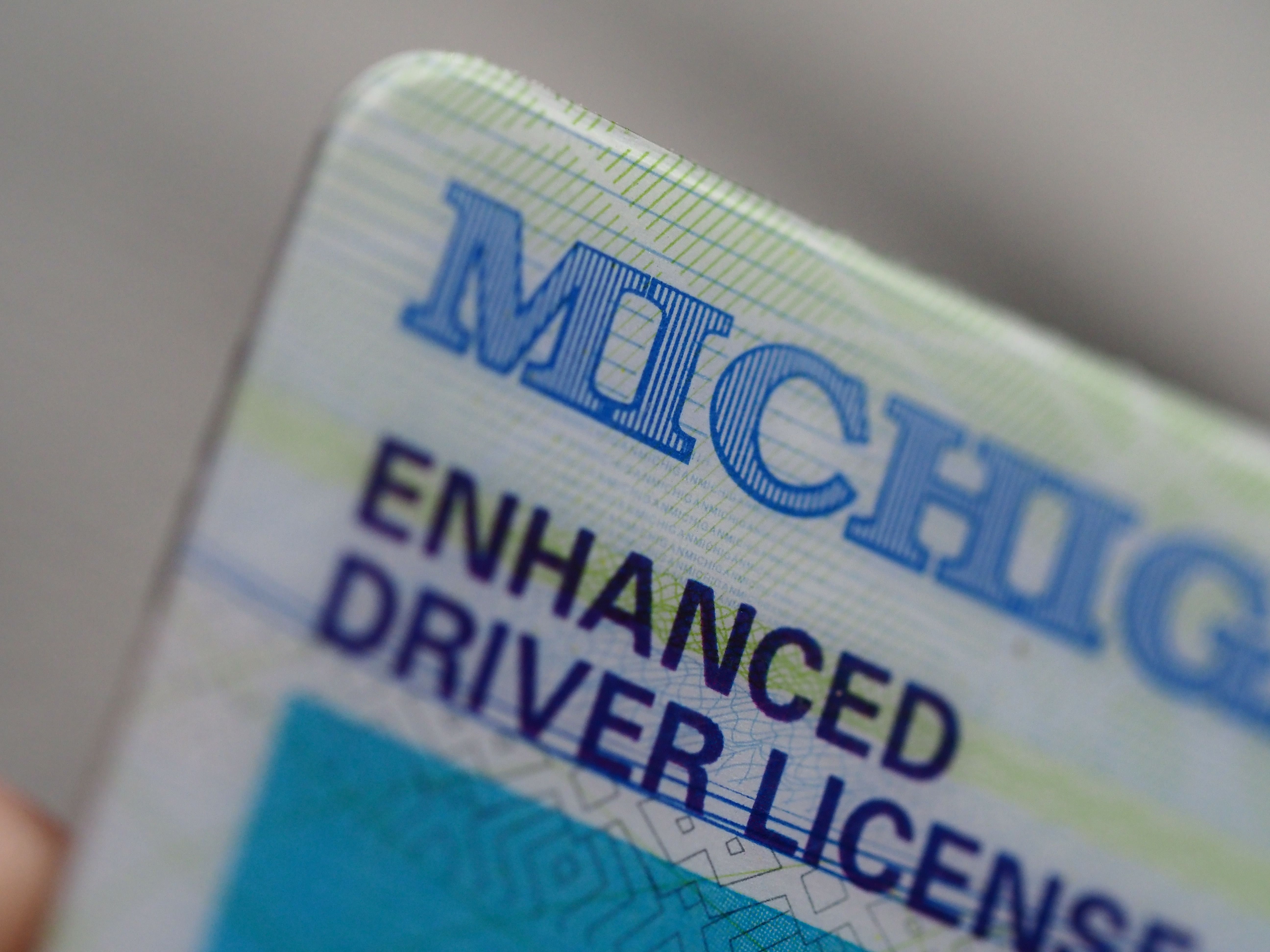 Michigan Driving While License Suspended Or Revoked (DWLS/DWLR ...